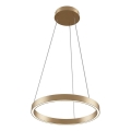 Maytoni MOD058PL-L22BS3K - LED-kattokruunu johdossa RIM LED/25W/230V 3000K halkaisija 40 cm kulta