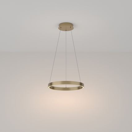 Maytoni MOD058PL-L22BS3K - LED-kattokruunu johdossa RIM LED/25W/230V 3000K halkaisija 40 cm kulta