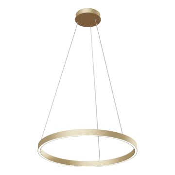 Maytoni MOD058PL-L32BS4K - LED-kattokruunu johdossa RIM LED/37W/230V 4000K halkaisija 60 cm kulta