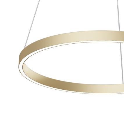 Maytoni MOD058PL-L32BS4K - LED-kattokruunu johdossa RIM LED/37W/230V 4000K halkaisija 60 cm kulta