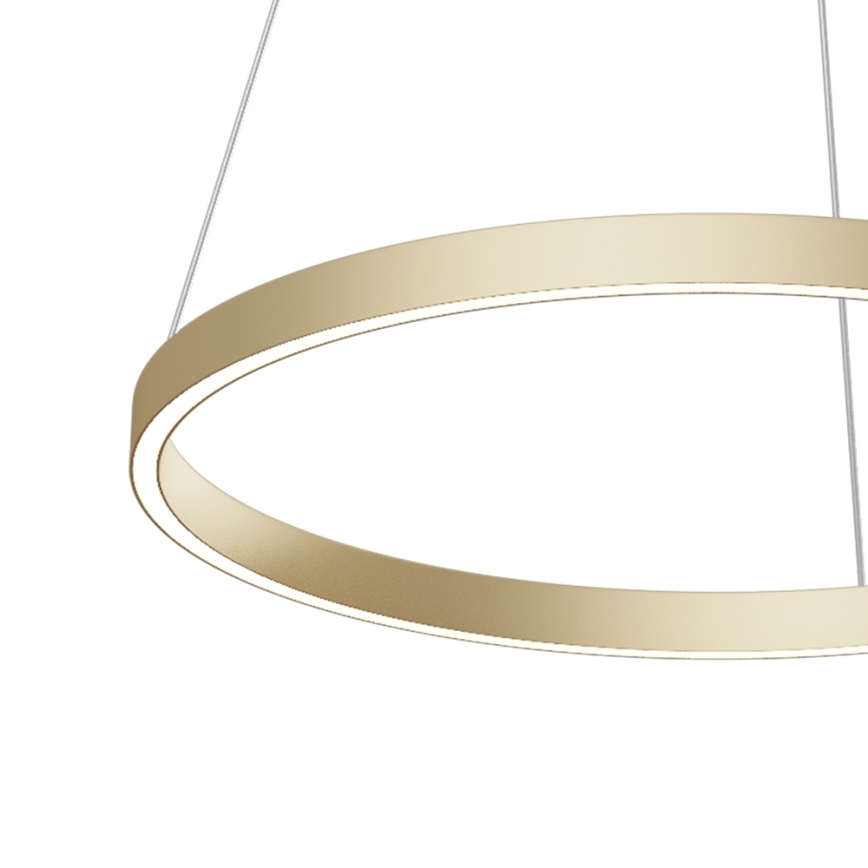 Maytoni MOD058PL-L32BS4K - LED-kattokruunu johdossa RIM LED/37W/230V 4000K halkaisija 60 cm kulta
