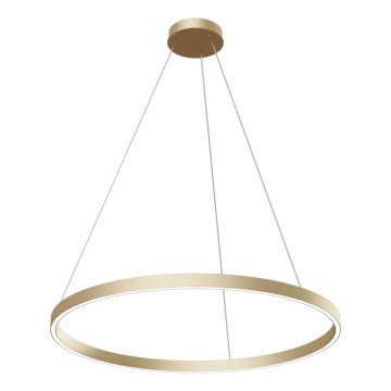 Maytoni MOD058PL-L42BS4K - LED-kattokruunu johdossa RIM LED/51W/230V 4000K halkaisija 80 cm kulta