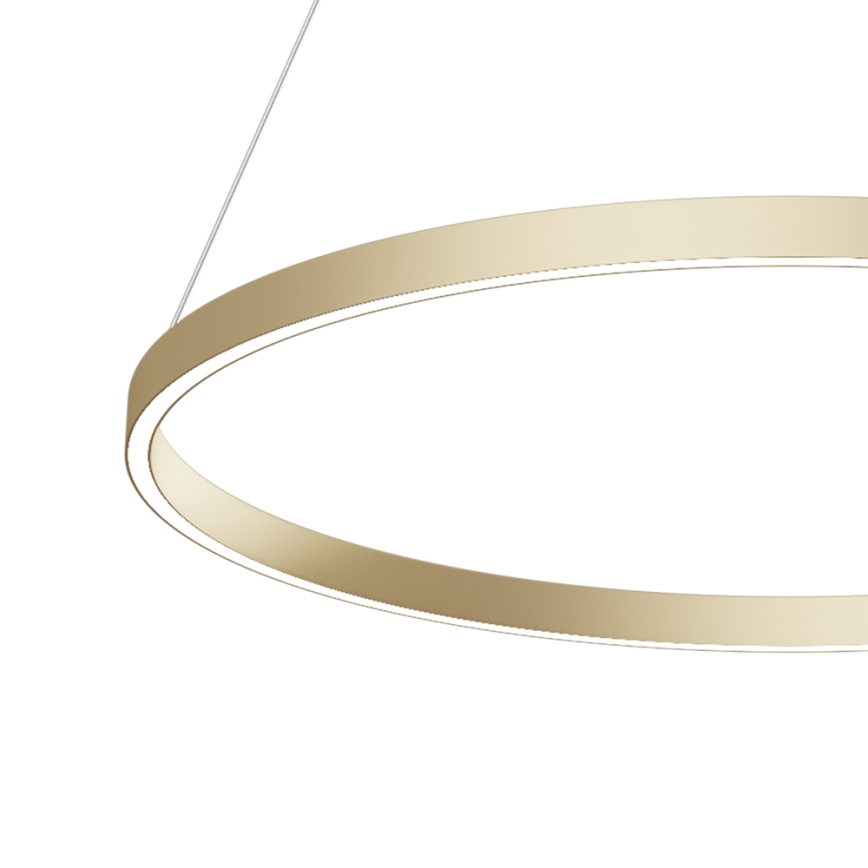 Maytoni MOD058PL-L42BS4K - LED-kattokruunu johdossa RIM LED/51W/230V 4000K halkaisija 80 cm kulta