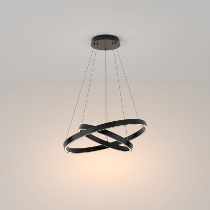 Maytoni MOD058PL-L55B3K - LED-kattokruunu johdossa RIM LED/61W/230V 3000K halkaisija 60 cm musta