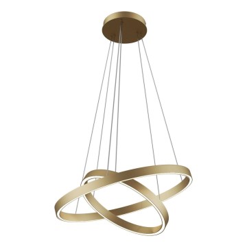 Maytoni MOD058PL-L55BS3K - LED-kattokruunu johdossa RIM LED/61W/230V 3000K halkaisija 60 cm kulta