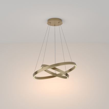 Maytoni MOD058PL-L55BS3K - LED-kattokruunu johdossa RIM LED/61W/230V 3000K halkaisija 60 cm kulta