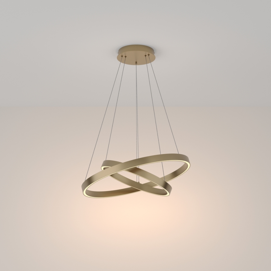 Maytoni MOD058PL-L55BS3K - LED-kattokruunu johdossa RIM LED/61W/230V 3000K halkaisija 60 cm kulta