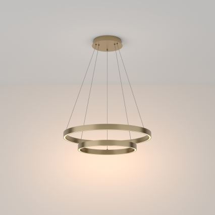 Maytoni MOD058PL-L55BS3K - LED-kattokruunu johdossa RIM LED/61W/230V 3000K halkaisija 60 cm kulta