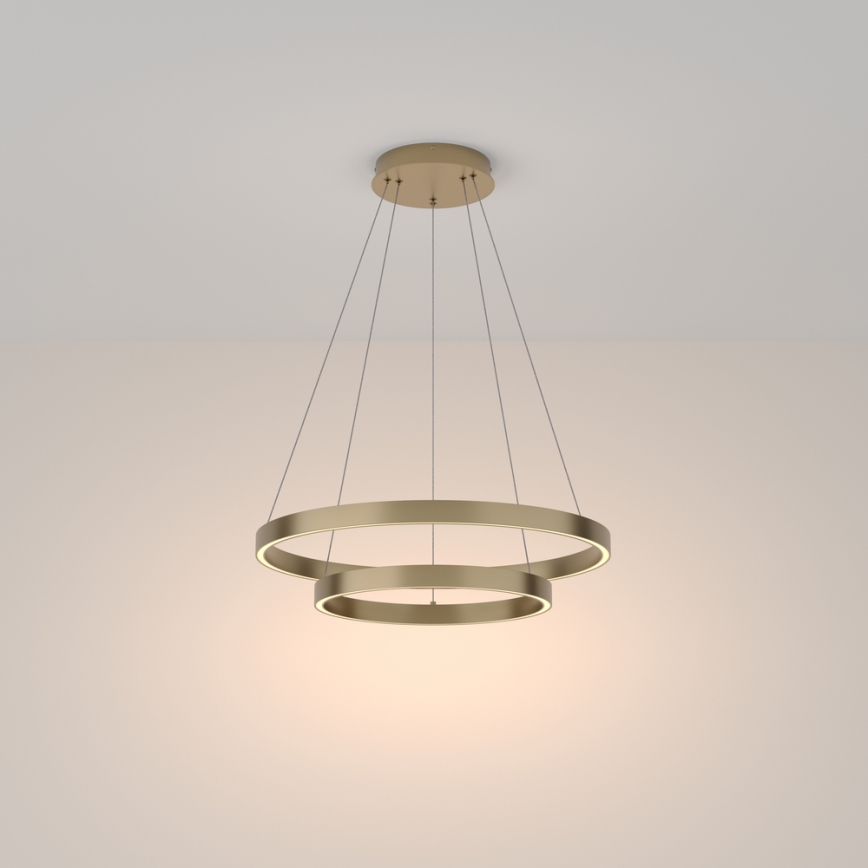 Maytoni MOD058PL-L55BS3K - LED-kattokruunu johdossa RIM LED/61W/230V 3000K halkaisija 60 cm kulta