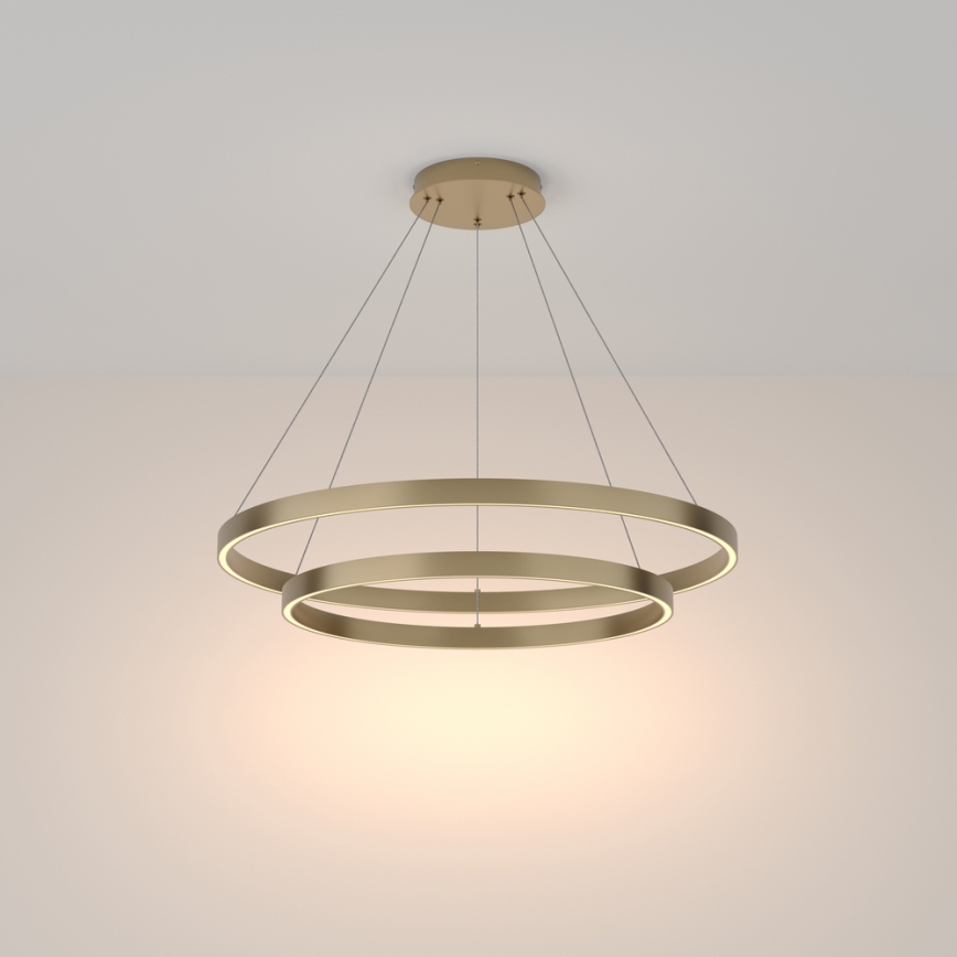 Maytoni MOD058PL-L74BS3K - LED-kattokruunu johdossa RIM LED/88W/230V 3000K halkaisija 80 cm kulta