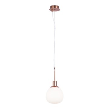 Maytoni MOD221-PL-01-G - Kattokruunu johdossa ERICH 1xE14/40W/230V kupari