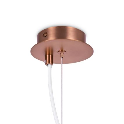 Maytoni MOD221-PL-01-G - Kattokruunu johdossa ERICH 1xE14/40W/230V kupari