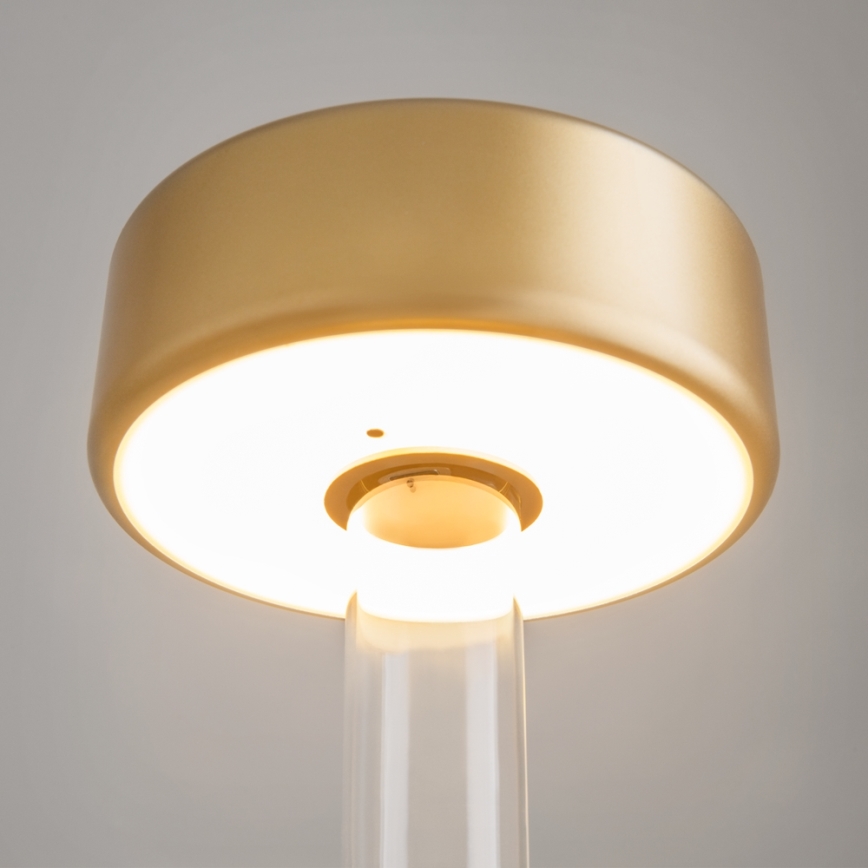 Maytoni MOD229TL-L3G3K1 - LED Himmennettävä ladattava kannattava pöytävalaisin LED/3W/5V 2200-4000K kulta/läpinäkyvä
