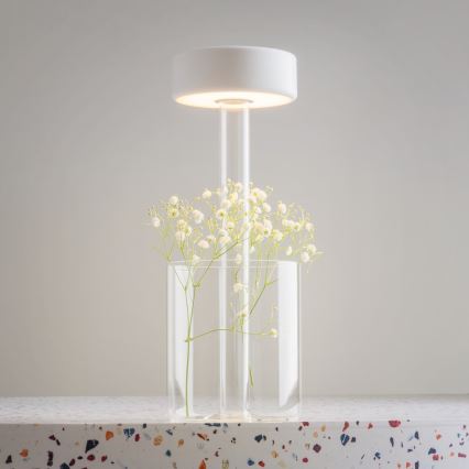 Maytoni MOD229TL-L3W3K1 - LED Himmennettävä ladattava kannattava pöytävalaisin LED/3W/5V 2200-4000K valkoinen/läpinäkyvä