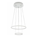 Maytoni MOD807-PL-02-36-W - LED-kattokruunu narussa NOLA LED/36W/230V