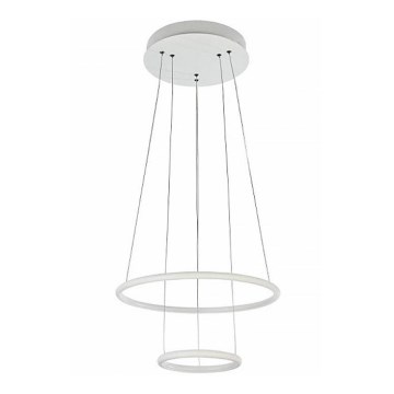 Maytoni MOD807-PL-02-36-W - LED-kattokruunu narussa NOLA LED/36W/230V