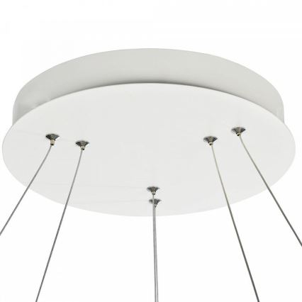 Maytoni MOD807-PL-02-85-W - LED-kattokruunu narussa NOLA LED/85W/230V