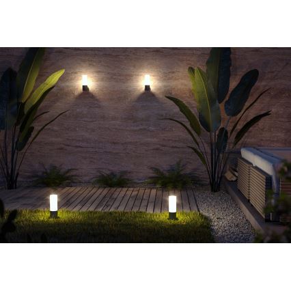 Maytoni O418FL-01B - Ulkovalaisin WILLIS 1xE27/60W/230V 30 cm IP54 musta