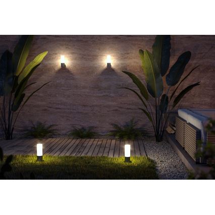 Maytoni O418WL-01GR - Ulkoseinävalaisin WILLIS 1xE27/60W/230V IP54 antrasiitti