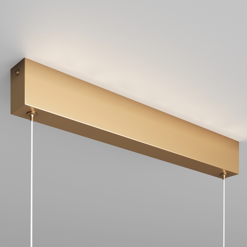 Maytoni P010PL-L23G3K - LED-kattokruunu johdossa STEP LED/23W/230V 3000K 91 cm kulta