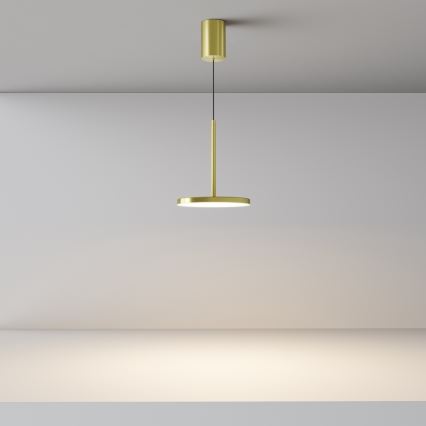 Maytoni P076PL-L12W3K-BS - LED-kattokruunu johdossa PLATO LED/12W/230V 3000K kulta