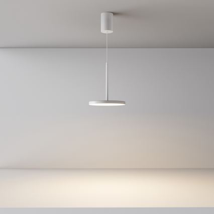 Maytoni P076PL-L12W3K-W - LED-kattokruunu johdossa PLATO LED/12W/230V 3000K valkoinen