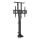 MK FLORIA MKF-19DM648 - TV-lattiateline 37-65