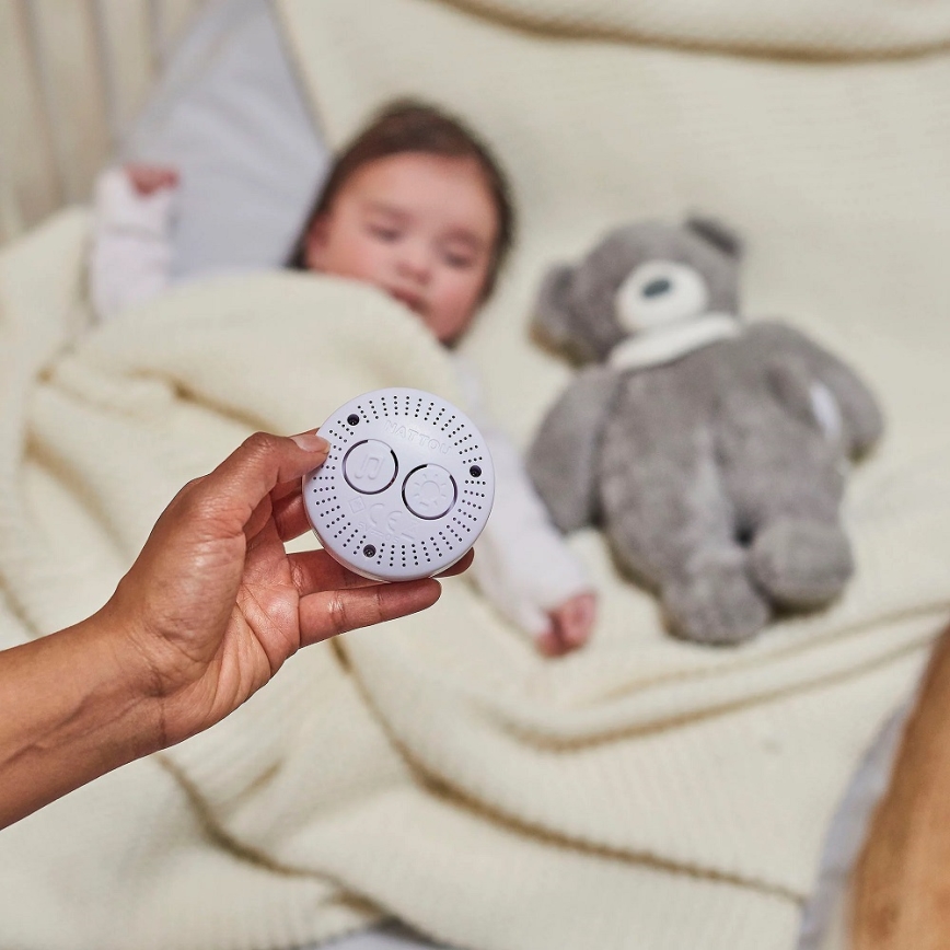 Nattou - Snuggle buddy melodialla ja valolla SLEEPY BEAR 4in1 harmaa