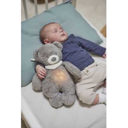 Nattou - Snuggle buddy melodialla ja valolla SLEEPY BEAR 4in1 harmaa