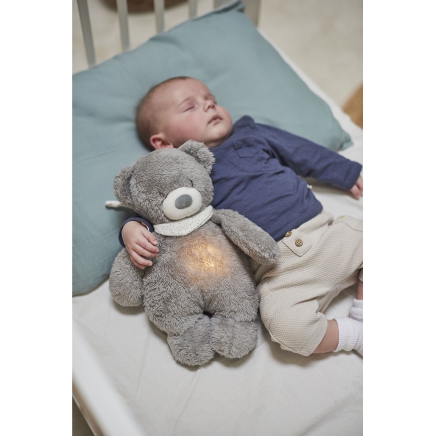 Nattou - Snuggle buddy melodialla ja valolla SLEEPY BEAR 4in1 harmaa
