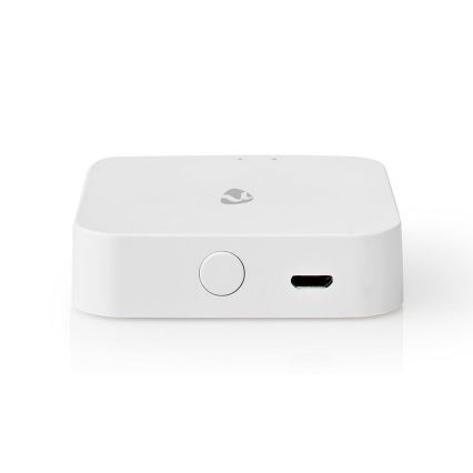 Älykäs portti ZigBee 5VDC