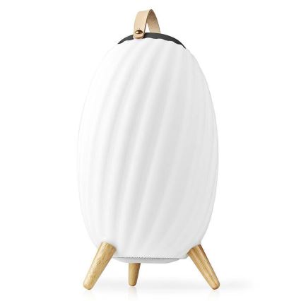 LED RGB Ladattava pöytävalaisin kaiuttimella 60W/2200 mAh IPX5