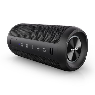 Niceboy Orion - LED Langaton kaiutin mikrofonilla 24W/2200 mAh IPX7 musta