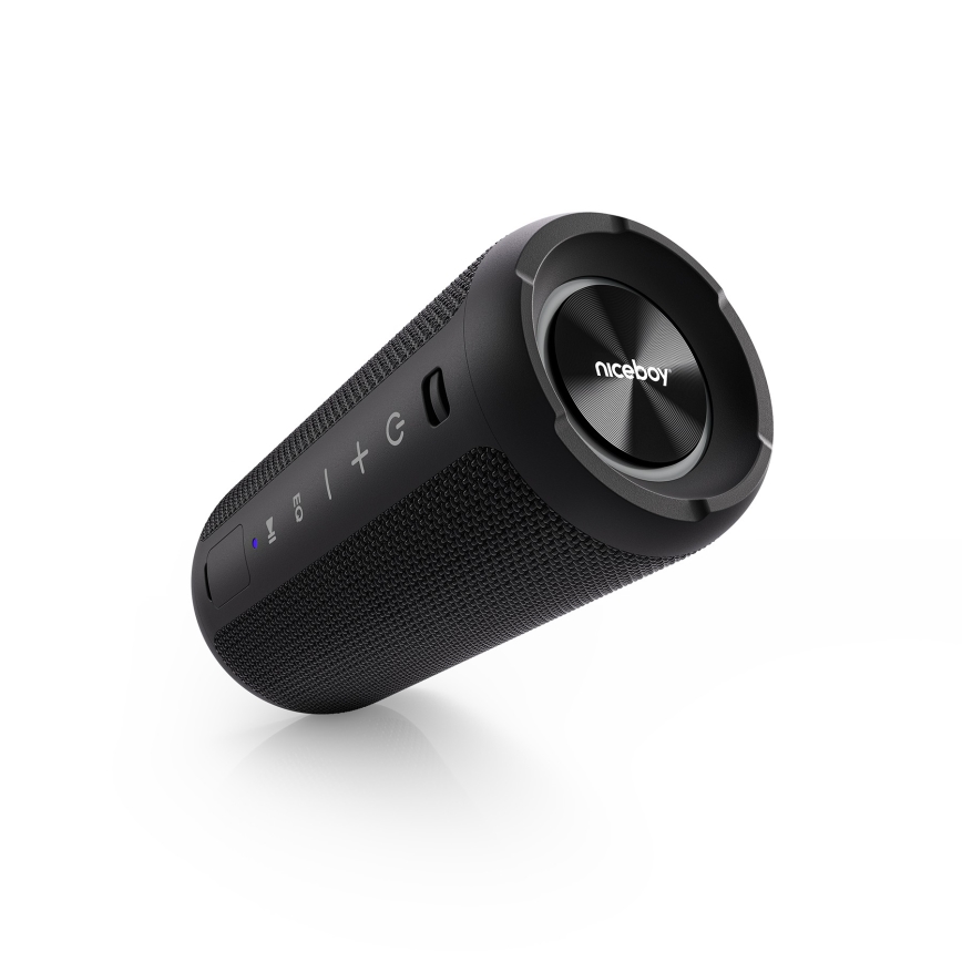 Niceboy Orion - LED Langaton kaiutin mikrofonilla 24W/2200 mAh IPX7 musta