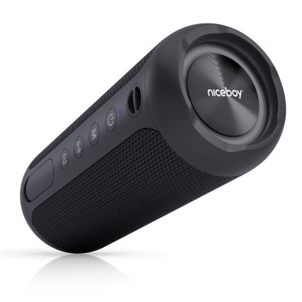 Niceboy Polaris - LED Langaton kaiutin mikrofonilla 30W/4000 mAh IPX7 musta