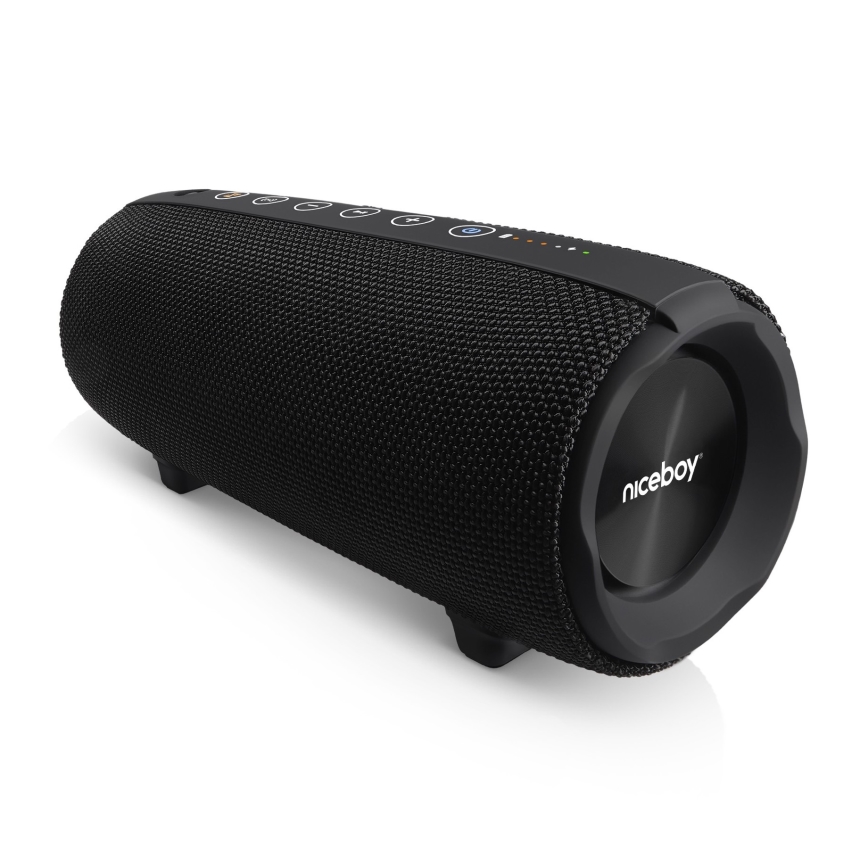 Niceboy Titan 4 - LED Langaton kaiutin mikrofonilla ja virtapankki toiminto 50W/4000 mAh IPX7 musta