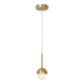 Nordlux - CONTINA riippuvalaisin vaijerilla 1xG9/5W/230V messinki