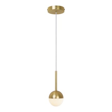 Nordlux - CONTINA riippuvalaisin vaijerilla 1xG9/5W/230V messinki