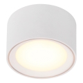 Nordlux - himmennettävä LED-kohdevalaisin FALLON LED/5,5W/230V valkoinen
