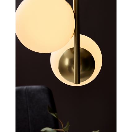 Nordlux - Kattokruunu johdossa LILLY 3xE14/40W/230V kulta