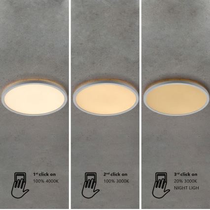 Nordlux - OJA LED-himmennettävä kylpyhuoneen kattovalaisin 14,5W/230V 3000/4000K IP54 halkaisija 30 cm
