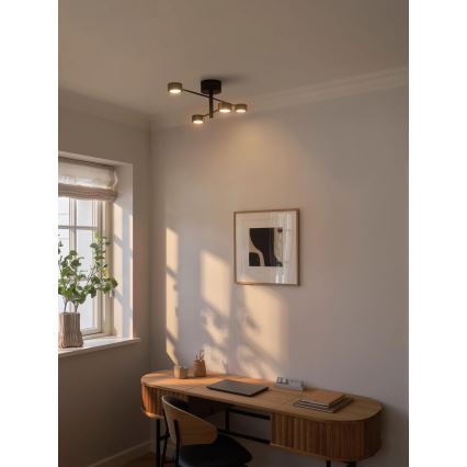 Nordlux - LED-pinta-asennettava kattovalaisin CLYDE 4xLED/4W/230V