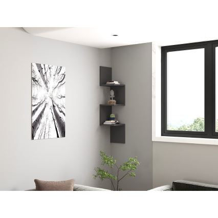 NUVIA-hylly antrasiitti