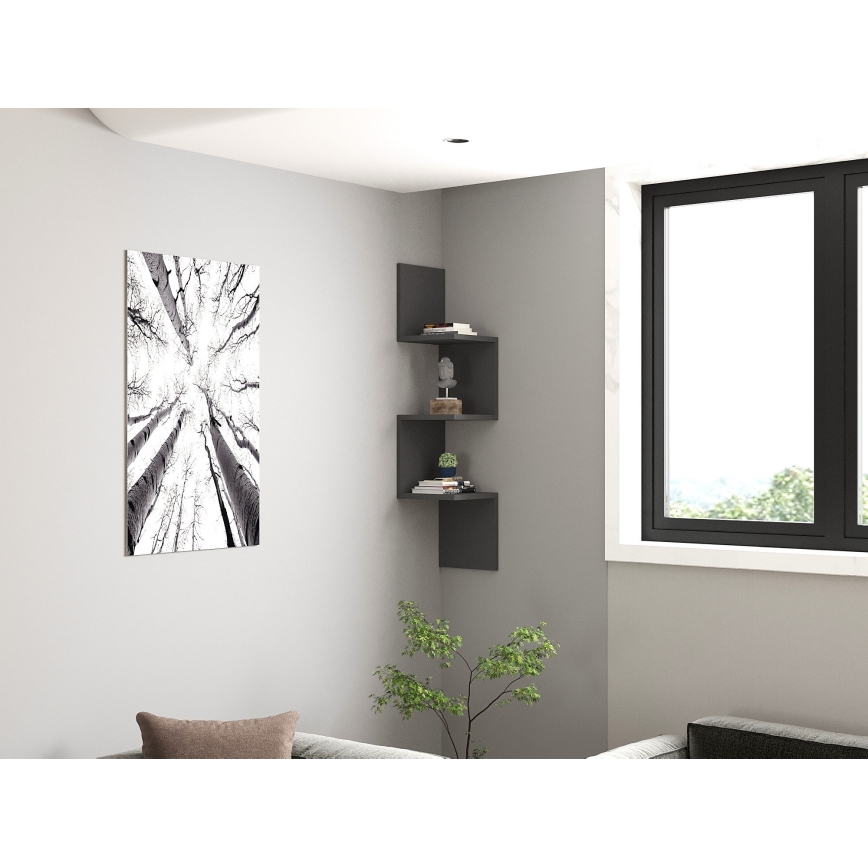 NUVIA-hylly antrasiitti