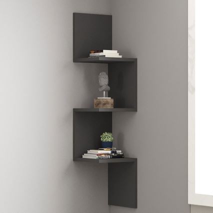 NUVIA-hylly antrasiitti