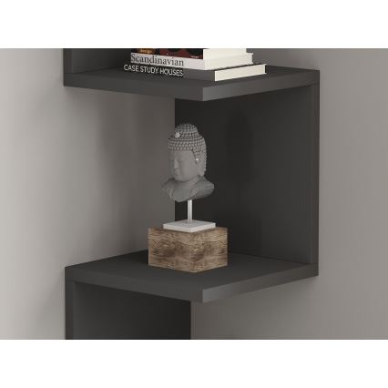 NUVIA-hylly antrasiitti