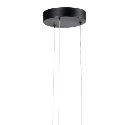 ONLI - LED-kattokruunu johdossa DAFNE LED/30W/230W 4000K musta