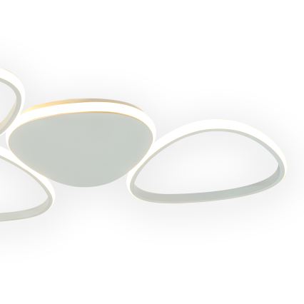 ONLI - LED-kattovalaisin ROMEO LED/48W/230V 4000K valkoinen
