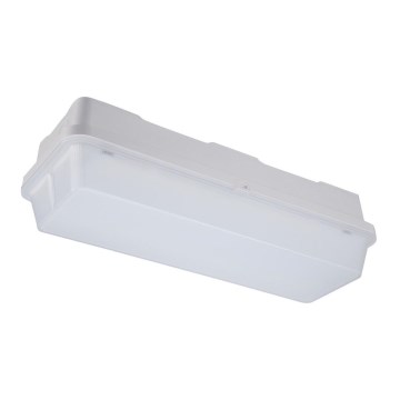 Opple 26277 - LED Kestävä valo ECOMAX LED/5W/230V IP65