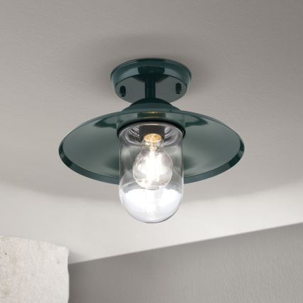 Kiinnitettävä kattokruunu ulkokäyttöön EDWARD 1xE27/60W/230V IP44 vihreä